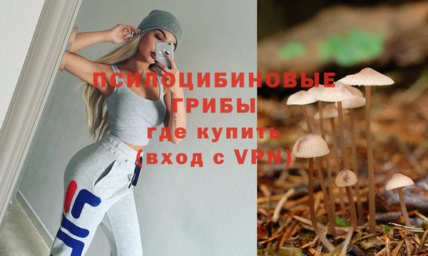 дурь Кулебаки