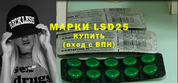 PSILOCYBIN Кукмор