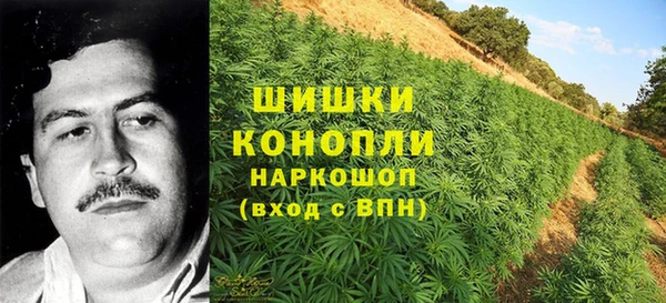 PSILOCYBIN Кукмор
