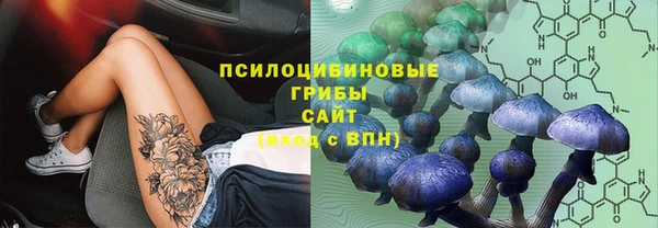 дурь Кулебаки