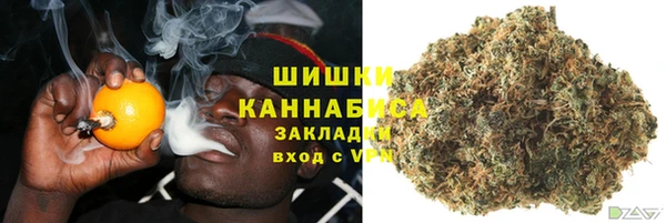 PSILOCYBIN Кукмор