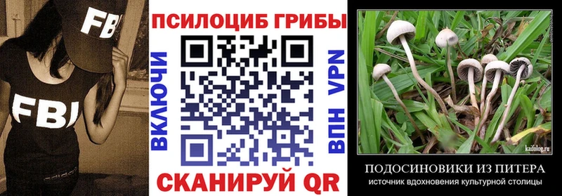 сколько стоит  Норильск  Псилоцибиновые грибы GOLDEN TEACHER 