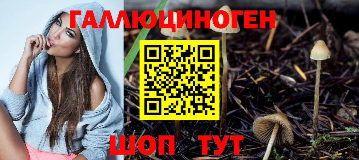 Псилоцибиновые грибы MAGIC MUSHROOMS  Галлюциногенные грибы Psilocybe  Вход с VPN  Норильск 