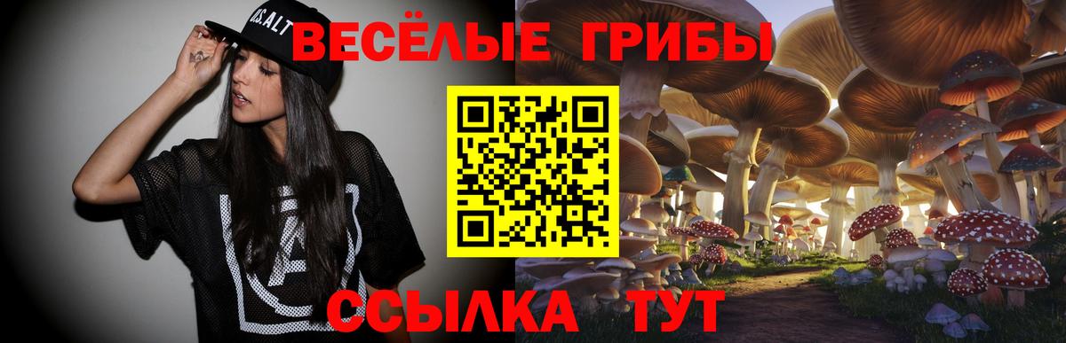 Галлюциногенные грибы Psilocybine cubensis Норильск